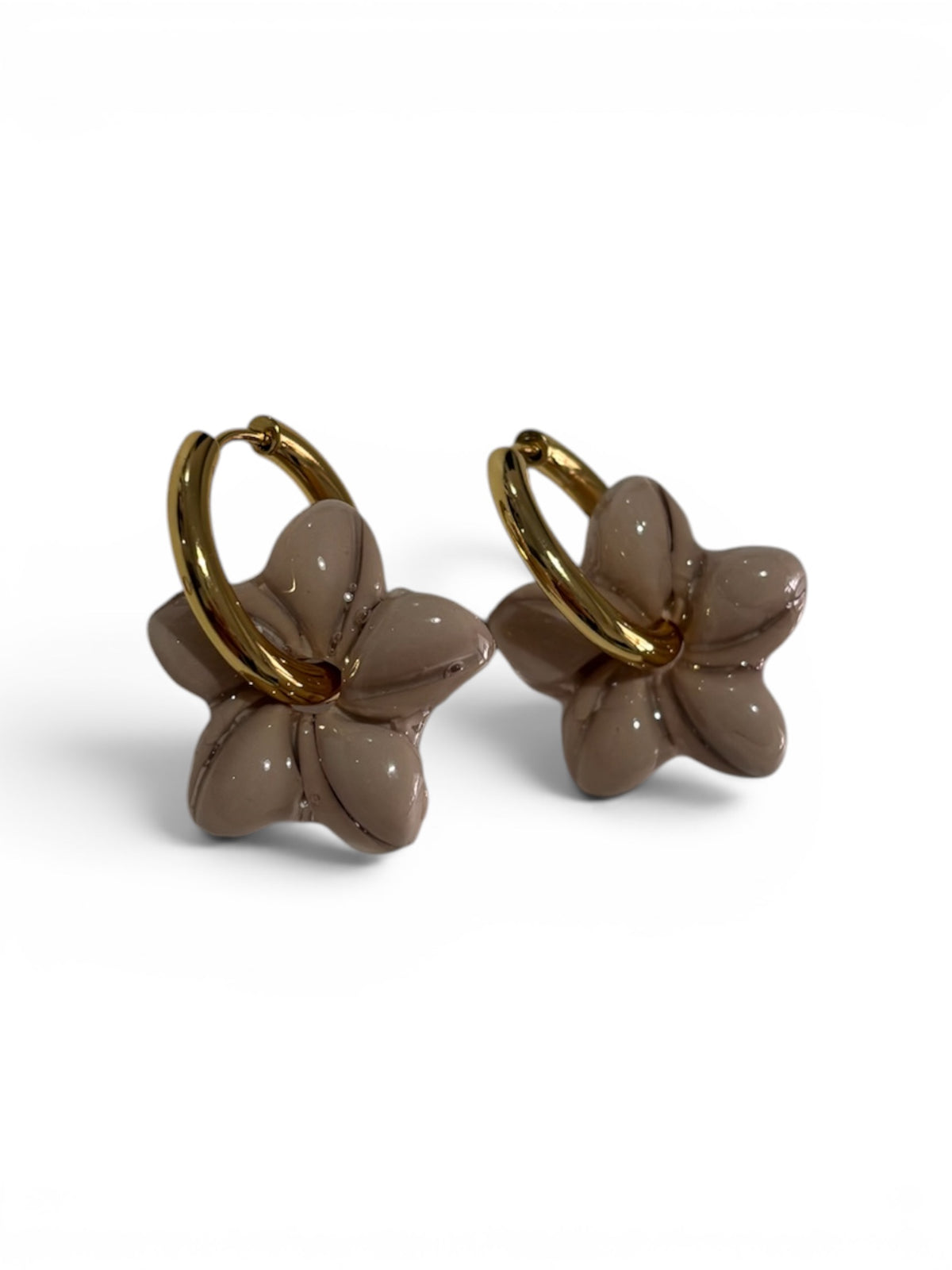 Cacao - Vainilla