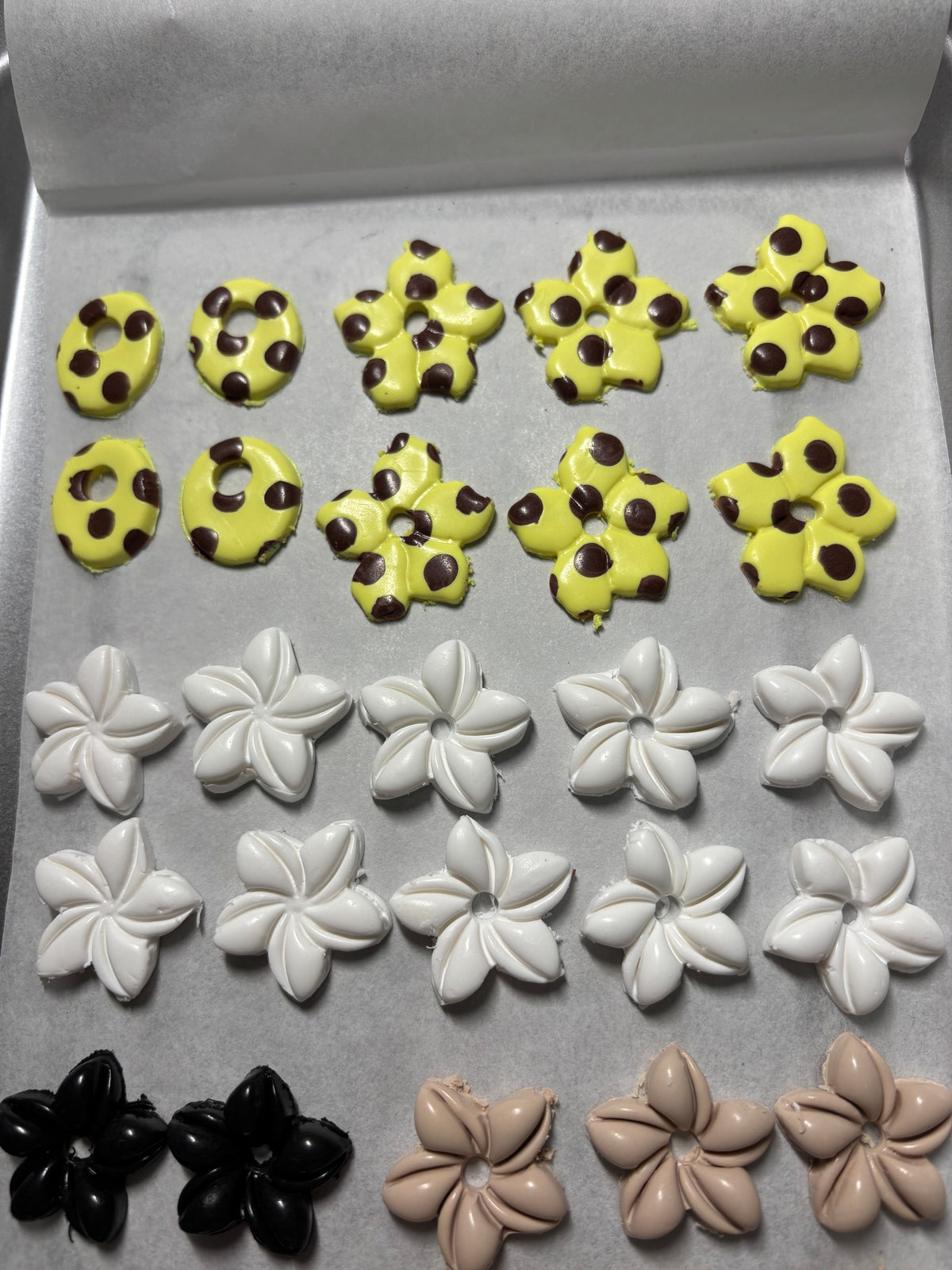 Dotty - Amarillo