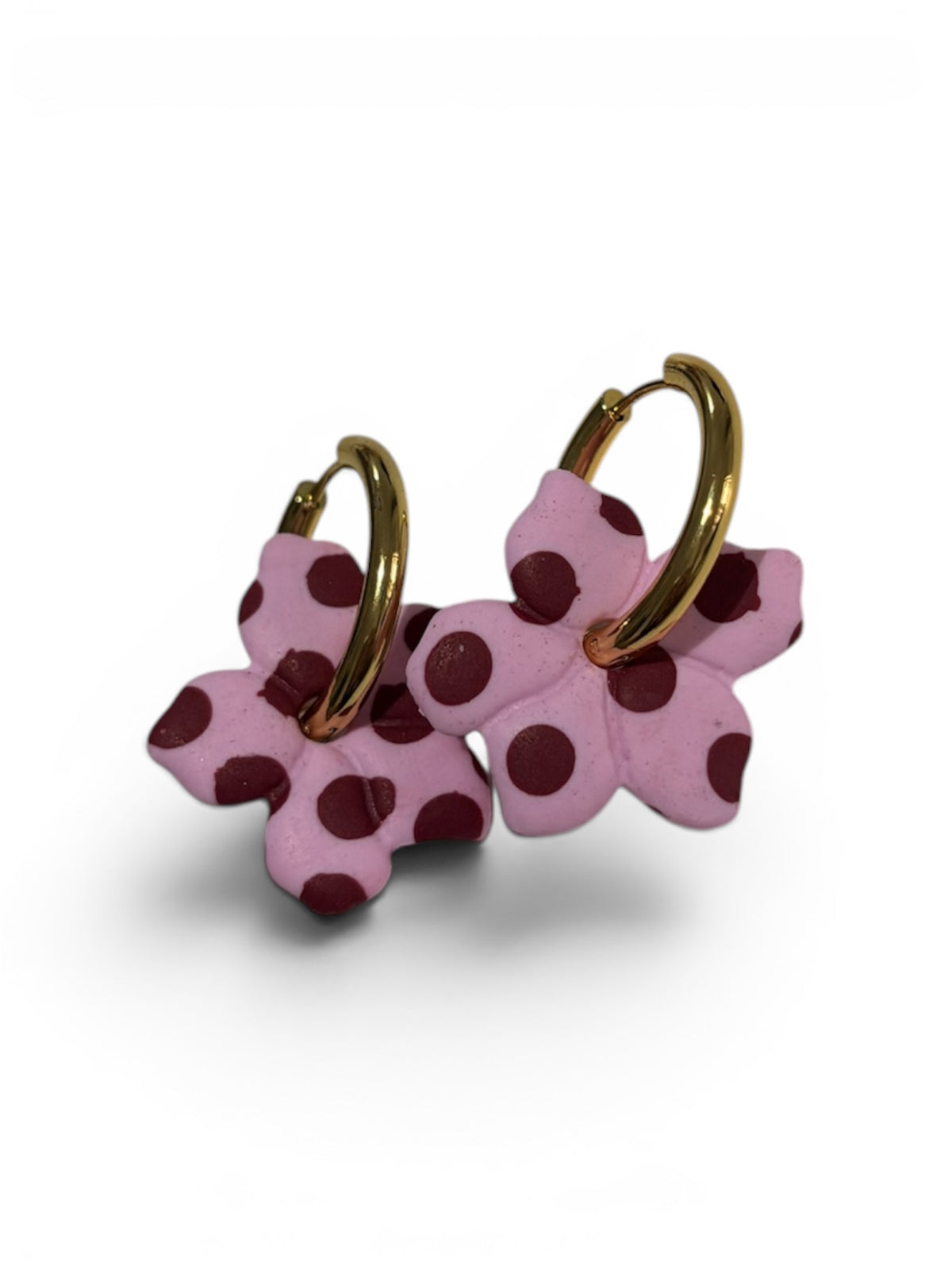 Dotty - Rosa